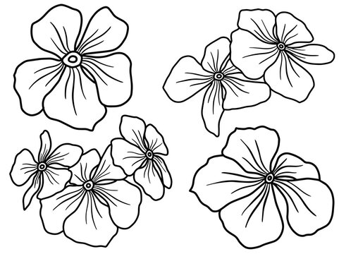 Hand drawing and sketch flower with line art illustration.