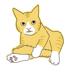 尻尾を舐めているグルーミング中の茶トラのハチワレ猫