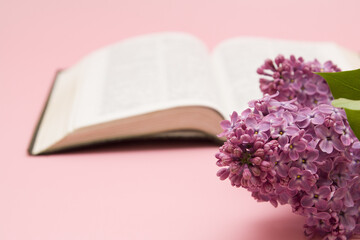 Close up lilac flowers with bible on a pink background. Christian spring concept