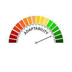 Concept of human adaptability , development of personal qualities