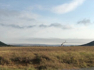 clouds over the field
