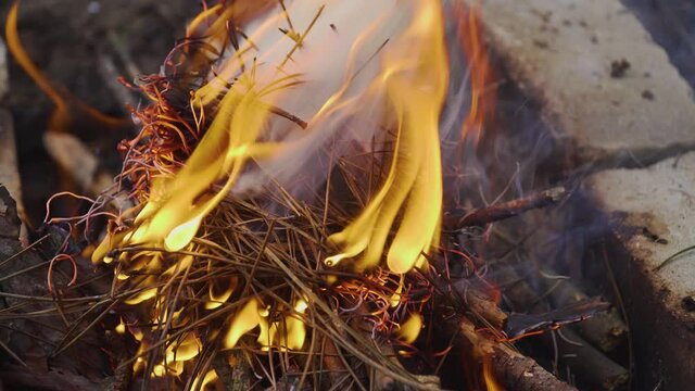 Video of fire and flames. Dry plant remains burn under influence of extreme temperatures releasing clouds of gray smoke. Concept of family holidays and spending time with closest people