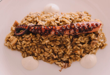Un delicioso plato gourmet de arroz con tentaculo de pulpo en un restaurante europeo marítimo de lujo