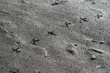 Abdrücke im Sand