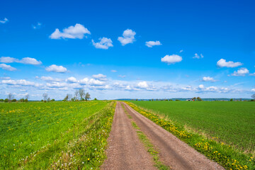 Gravel road over the cultivated fields in the country