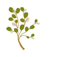 colorful Leaves tree and Flower background, Springtime, Season, Leaf,wallpaper