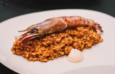Un delicioso plato gourmet de arroz con cigala y gamba
