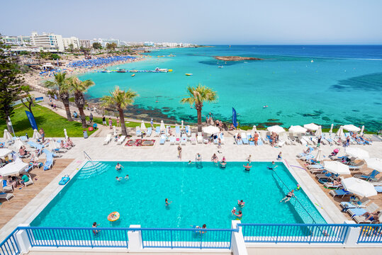 Fig tree bay