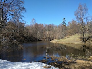 lake in the woods in the spring