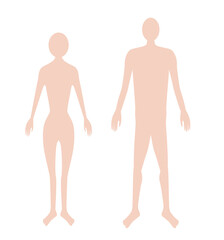 男女の人体シルエットのイラスト素材