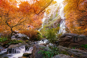 Colourful of Khlong Lan waterfall is a beautiful Waterfalls in the rain forest jungle Thailand