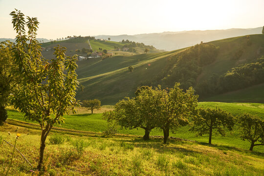 Early morning on the hills of Emilia Romagna, Italy - Italian landscape. 