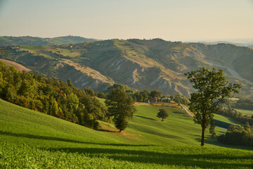Early morning on the hills of Emilia Romagna, Italy - Italian landscape.