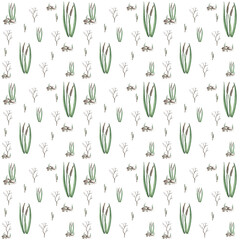 Watercolour reeds. An illustration of a beautiful watercolour reed.