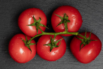 red tomatos on branch