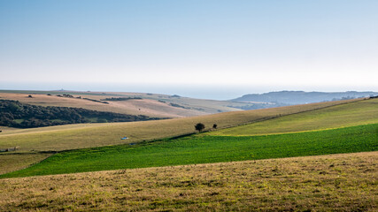 The South Downs, East Sussex, England. The countryside around the South East coast of England looking out towards the distant English Channel.