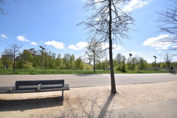 Obraz premium bench in the park in Stratford London, UK