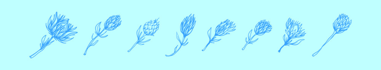 set of protea flowers cartoon icon design template with various models. vector illustration isolated on blue background