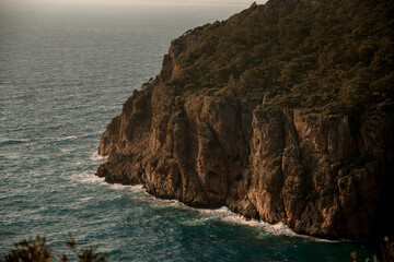 Fototapeta na wymiar Close-up view of rock with green trees near the water of sea coast