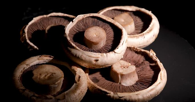 Portobello mushrooms rotating on black background. High quality 4k footage