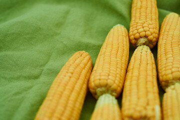 close-up ears of corn lie on a green linen tablecloth