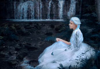 Beautiful portrait of a mysterious ethereal Elf princess sitting Near Waterfall © Elvenphoto