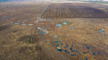 Aerial view to the new drainage network establishment for peat extraction field, next to the natural peat bog wetland. It is big environmental concern, and  source of greenhouse gases and biodiversity - obrazy, fototapety, plakaty