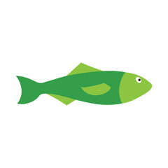 Sea fish on an isolated background. A variety of popular colored fish.