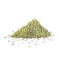Dry spice of thyme isolated on white background.  Watercolor hand drawn illustration.