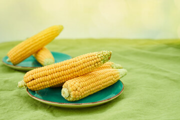 Ears of corn on a blue plate on a green linen tablecloth