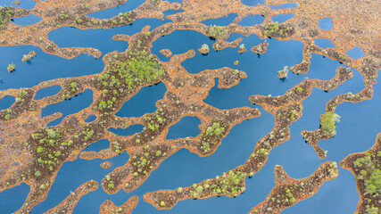 Aerial top-down view to the complex pattern of peat bog pools and intermediate ridges in natural pristine Estonian-Latvian cross-border peat bog