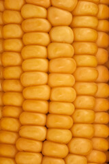 yellow corn ear, close up macro surface top view background