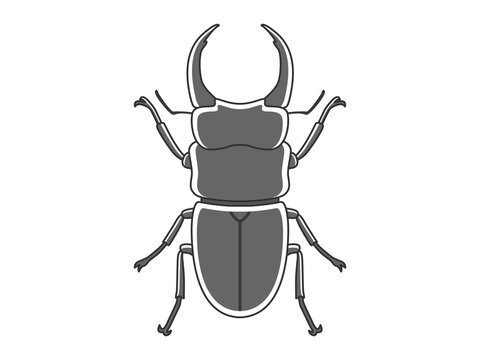 クワガタムシ Images Browse 1 513 Stock Photos Vectors And Video Adobe Stock