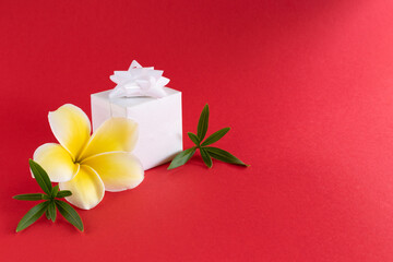 Small gift box with a bow and tropical flower. On red, copy space.