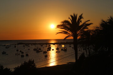 Golden sunset at a perfect vacation day in paradise, romantic feeling with palm trees at the beach, golden heaven over the horizon, time to relax and leave problems behind