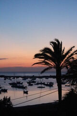 Obraz premium Golden sunset at a perfect vacation day in paradise, romantic feeling with palm trees and boats at the beach, golden heaven over the horizon, time to relax and leave problems behind