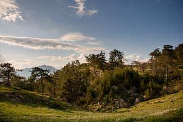 Magnificent view of green valley with evergreen coniferous trees and sky with clouds at background