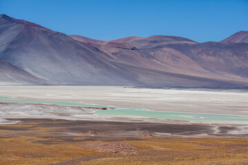 Salar de Talar salt lakes in Atacama desert, Chile.