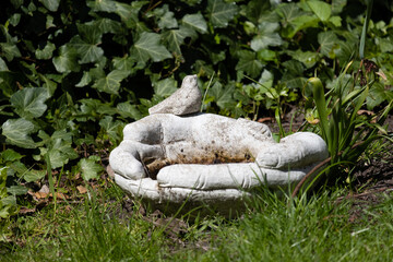 statue in the garden