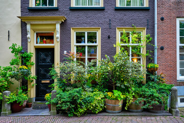 Obraz na płótnie Canvas Old house with lush plants in front. Delft, Netherlands