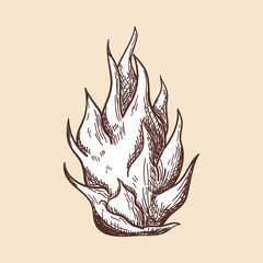 Icon Of Dragon Fruit