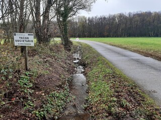 Pequeño humedal en un paraje natural de Galicia