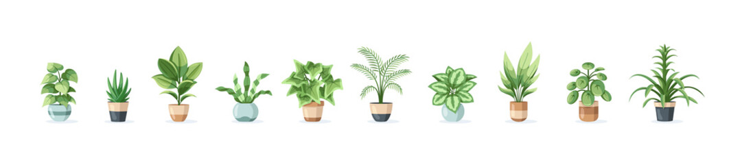 Set of flowers in pots isolated on white background in flat style. Vector illustration - obrazy, fototapety, plakaty