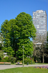 Parc, Mairie, Choisy le Roi, 94, Val de Marne
