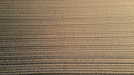 Top view of Soil texture background. Brown plowed field. Brown background on the field aerial view. Earth top view.