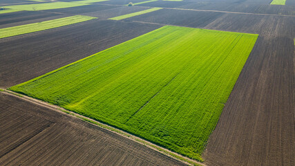 Fototapeta premium Drone shot of green agriculture fields in Serbia Europe.