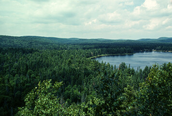 Fototapeta na wymiar Parc national de l'Algonquin, Ontario, Canada
