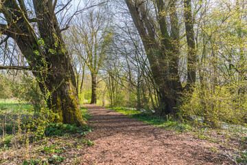 Frühling in Hermann-Löns-Park Hannover