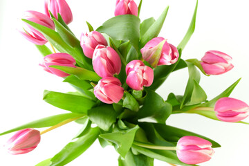 Fototapeta premium spring flat lay with tulips on white