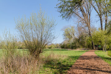 Frühling in Hermann-Löns-Park Hannover